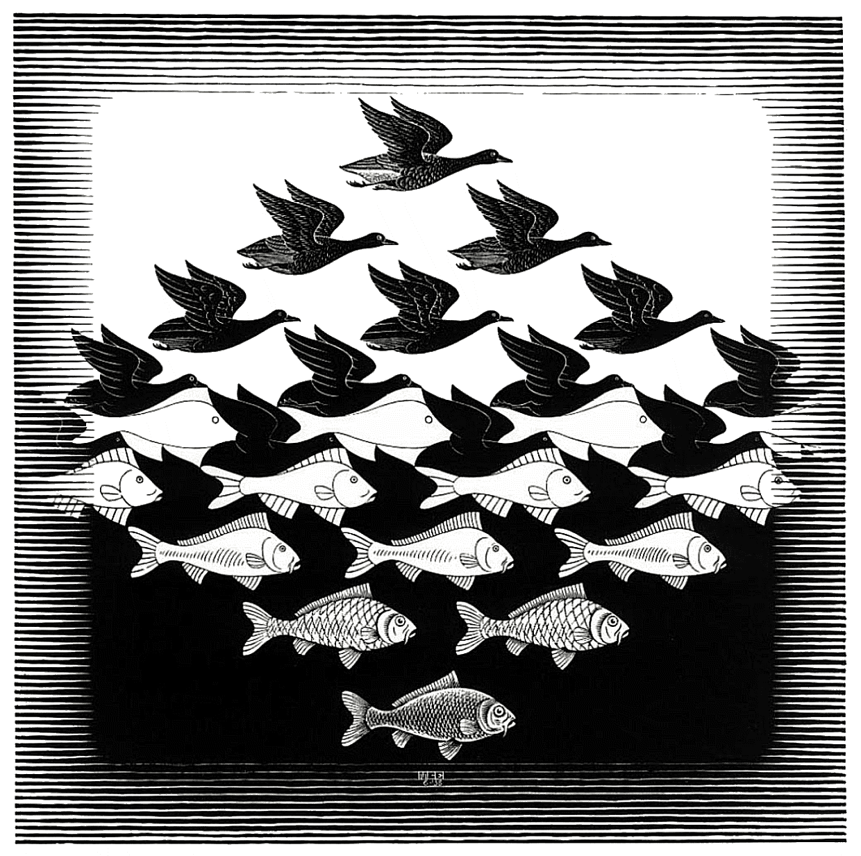 uccelli-e-pesci oroscopo pesci 2017